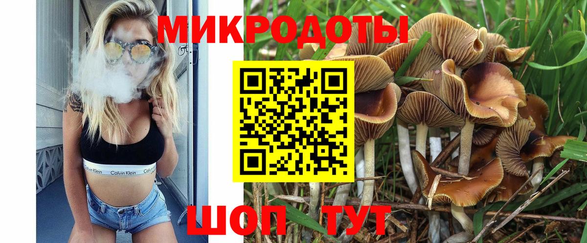 Великий Устюг  Псилоцибиновые грибы Psilocybe  Вход с VPN 